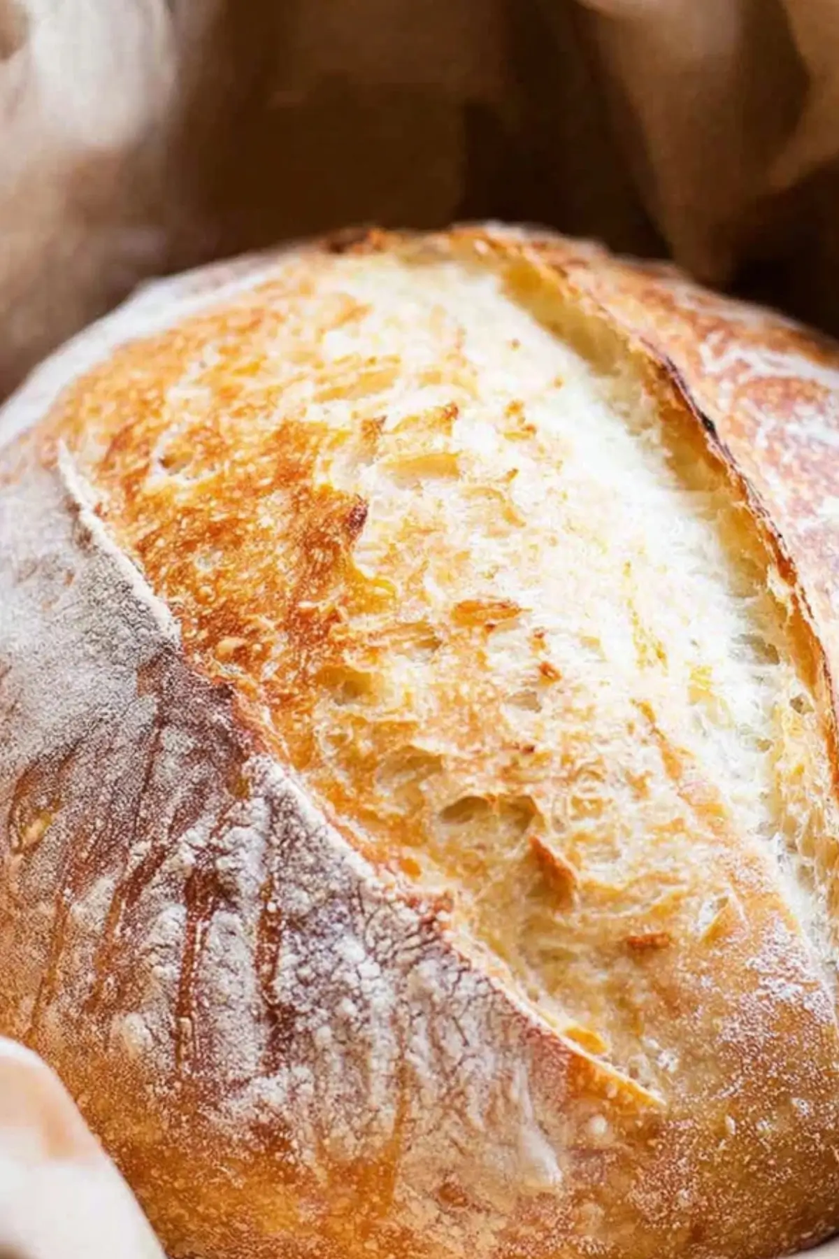 No Knead Sourdough Bread