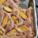 Cinnamon Sugar Nectarine Cobbler