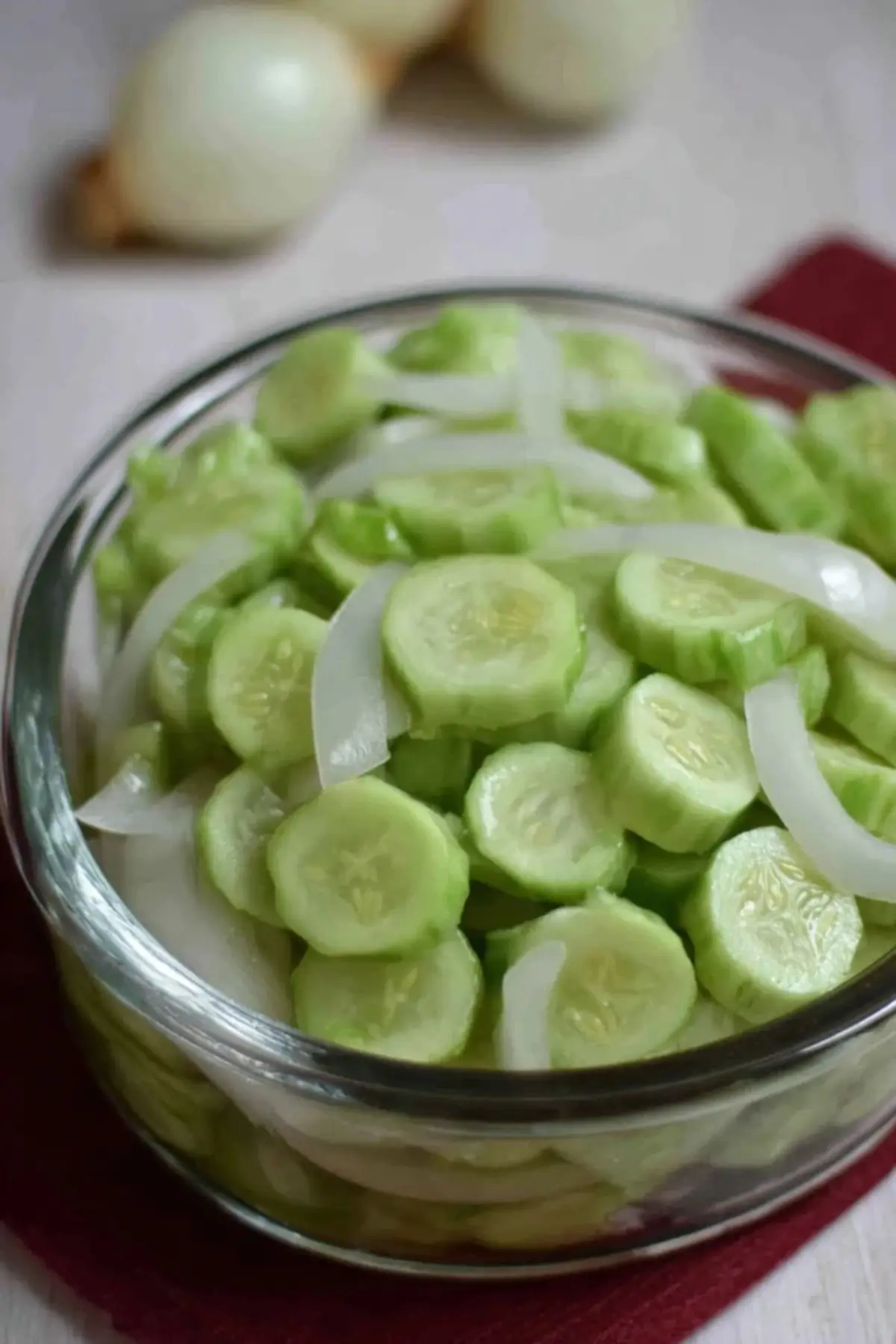 Cucumber and Onions in Vinegar