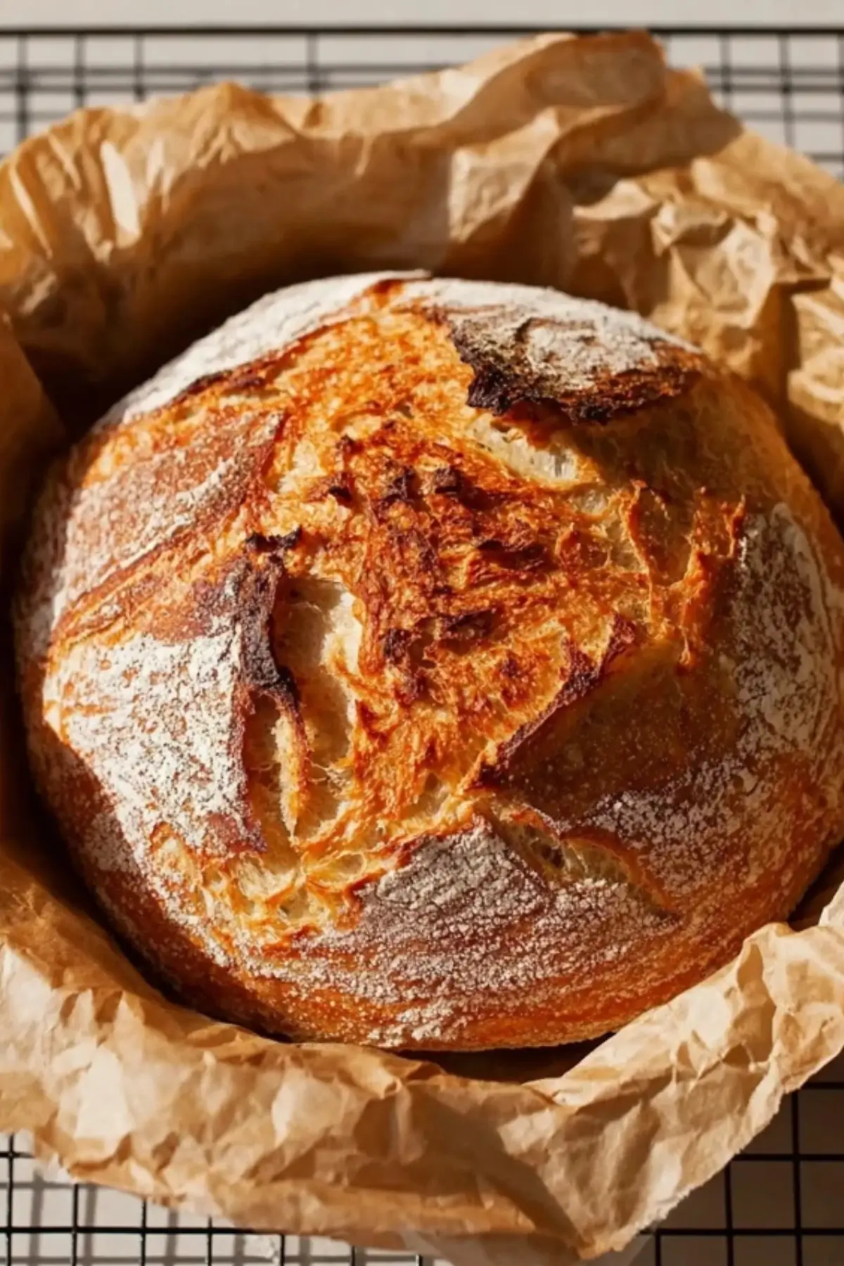 Dutch Oven Sourdough Bread