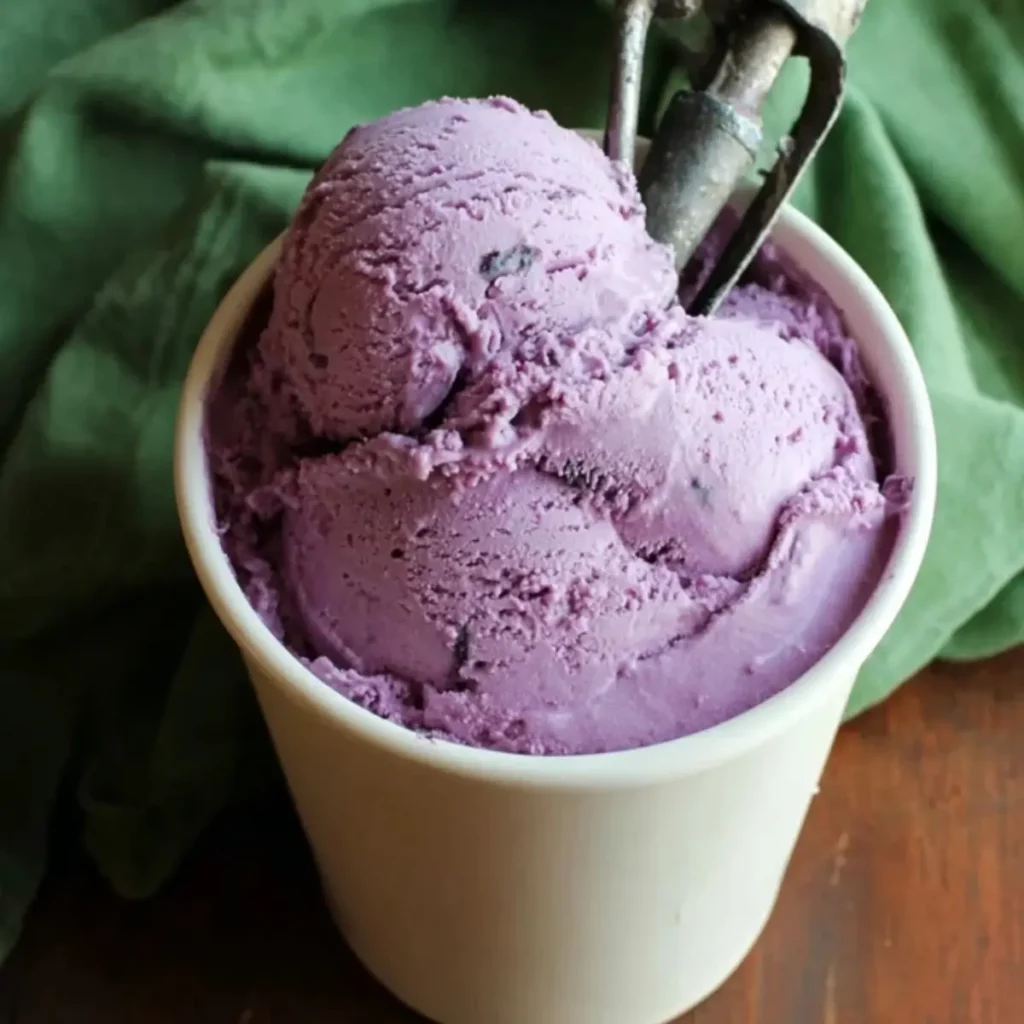 Homemade Blueberry Ice Cream