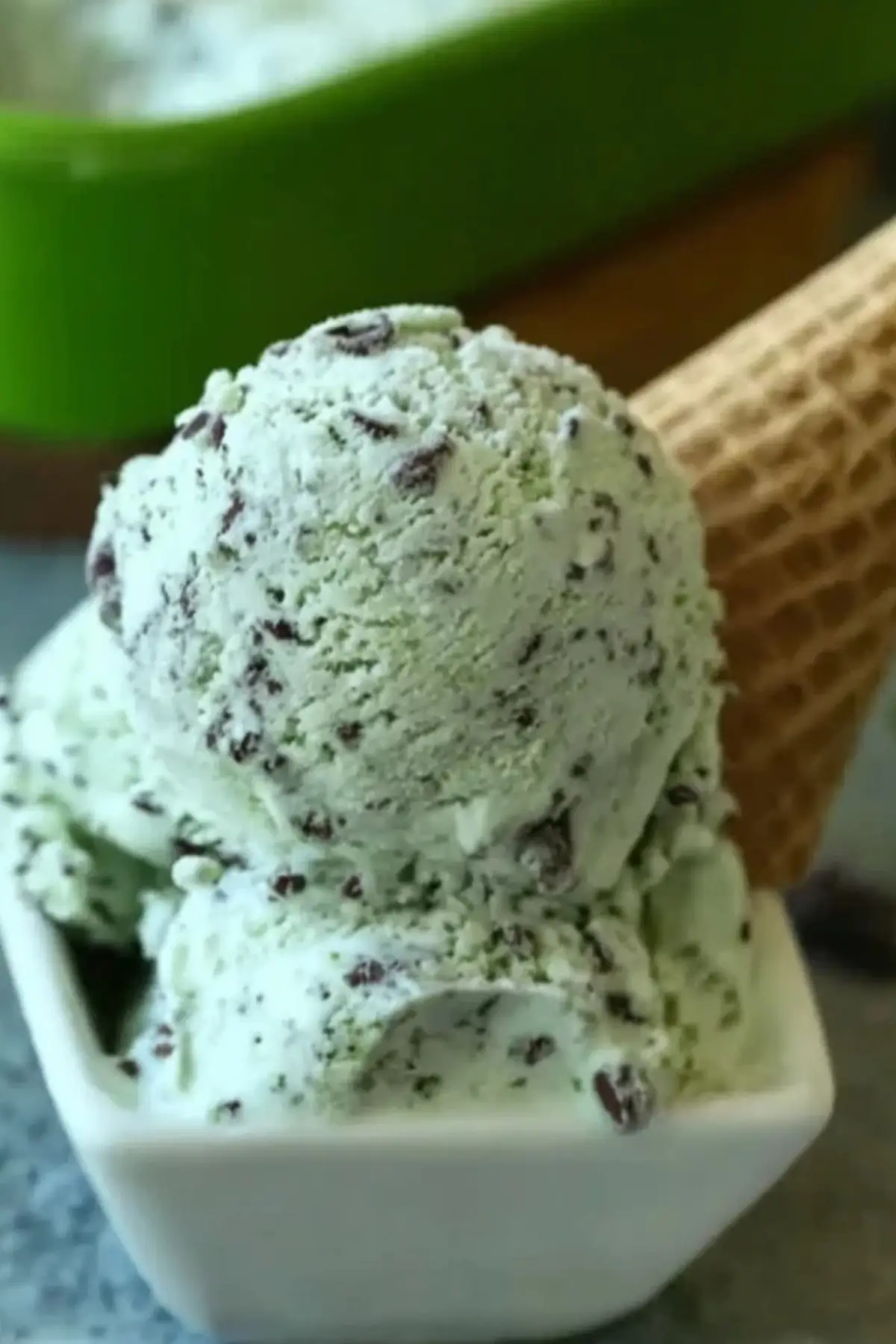 Mint Chocolate Chip Ice Cream
