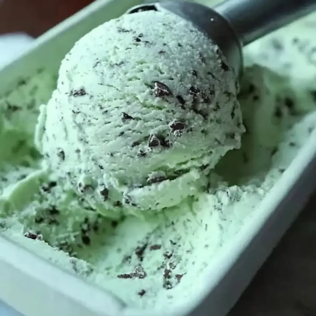 Mint Chocolate Chip Ice Cream