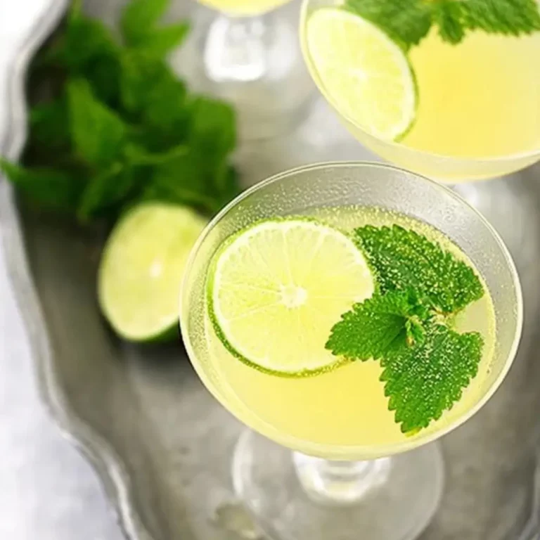 lemon balm recipes