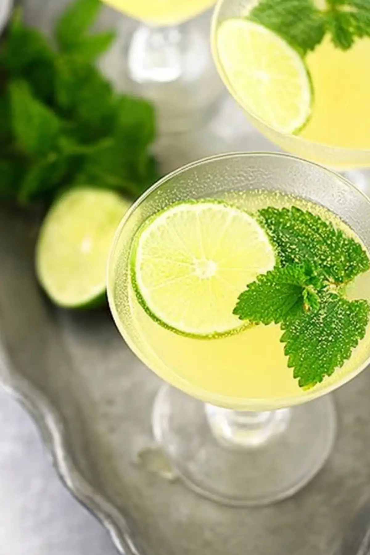 lemon balm recipes