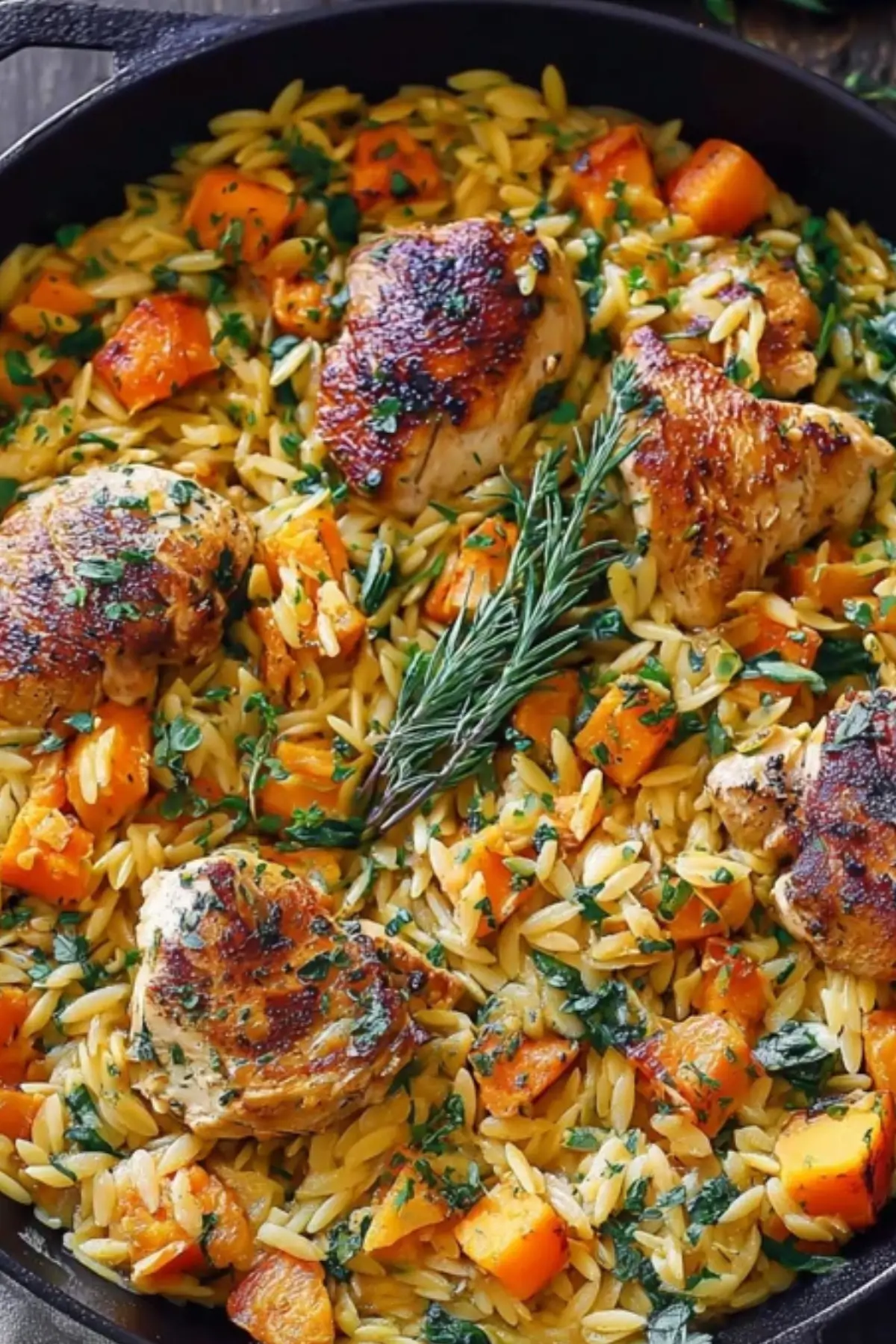 Chicken Orzo with Butternut Squash