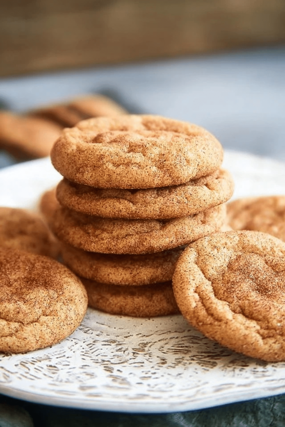Cookie Butter Snickerdoodles