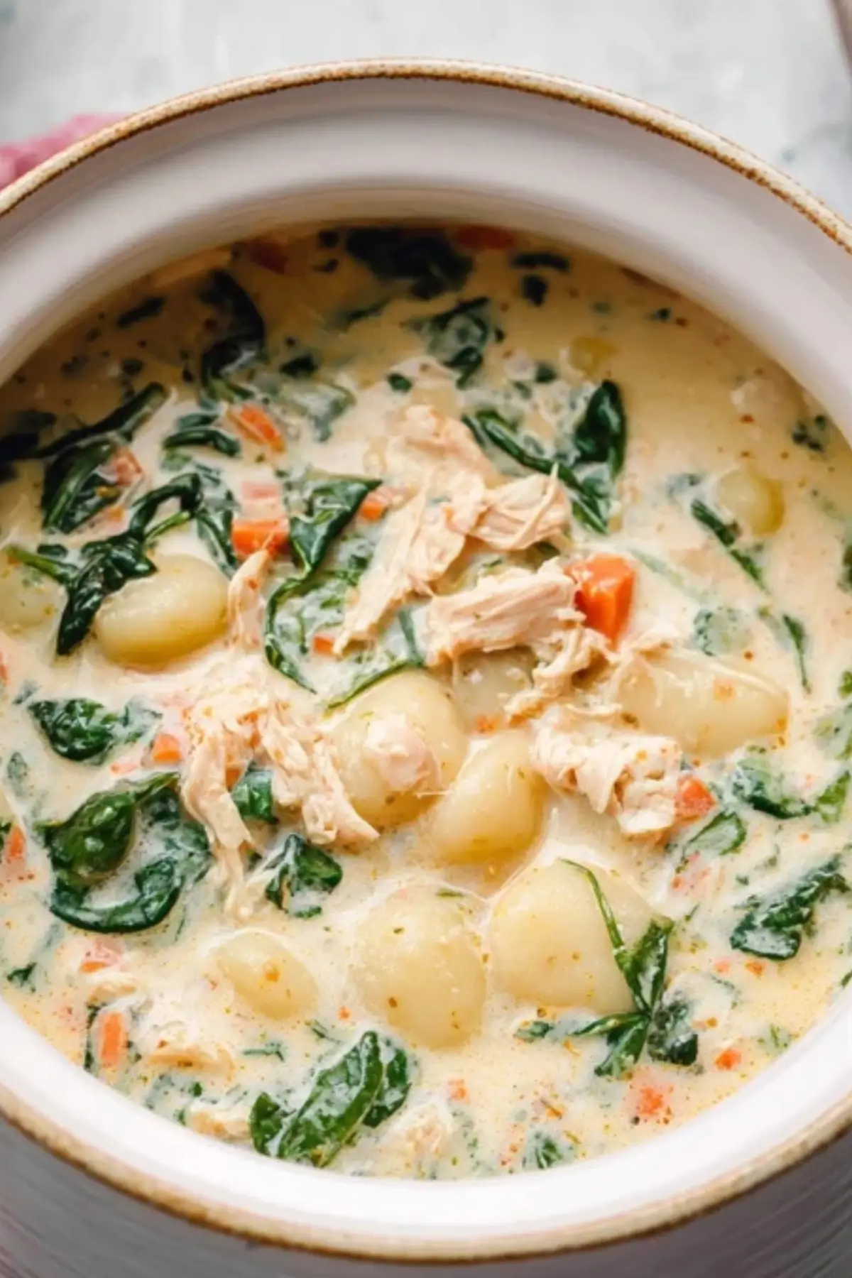 Crockpot Chicken Gnocchi Soup