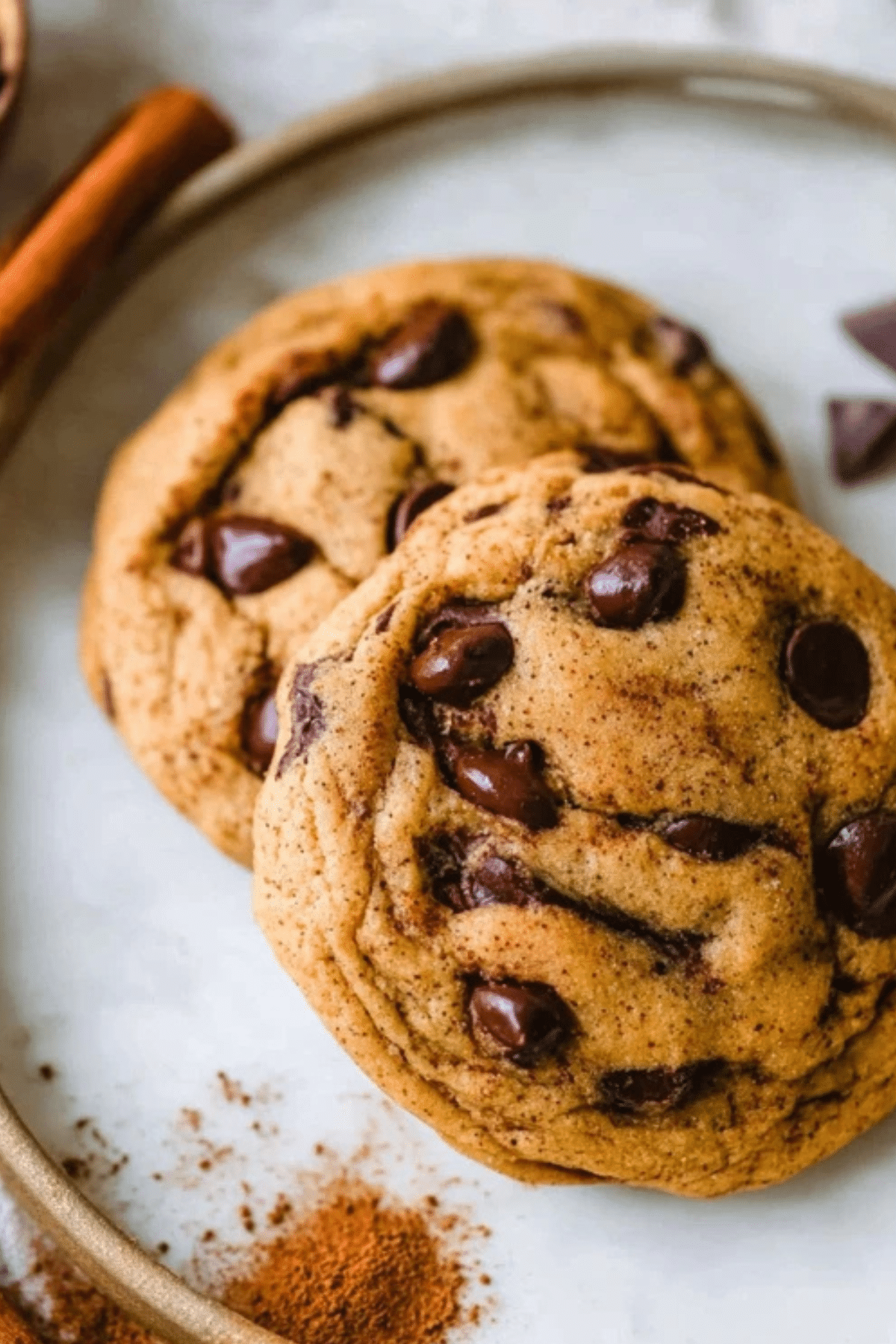 Fall Chocolate Chip Spiced Cookie