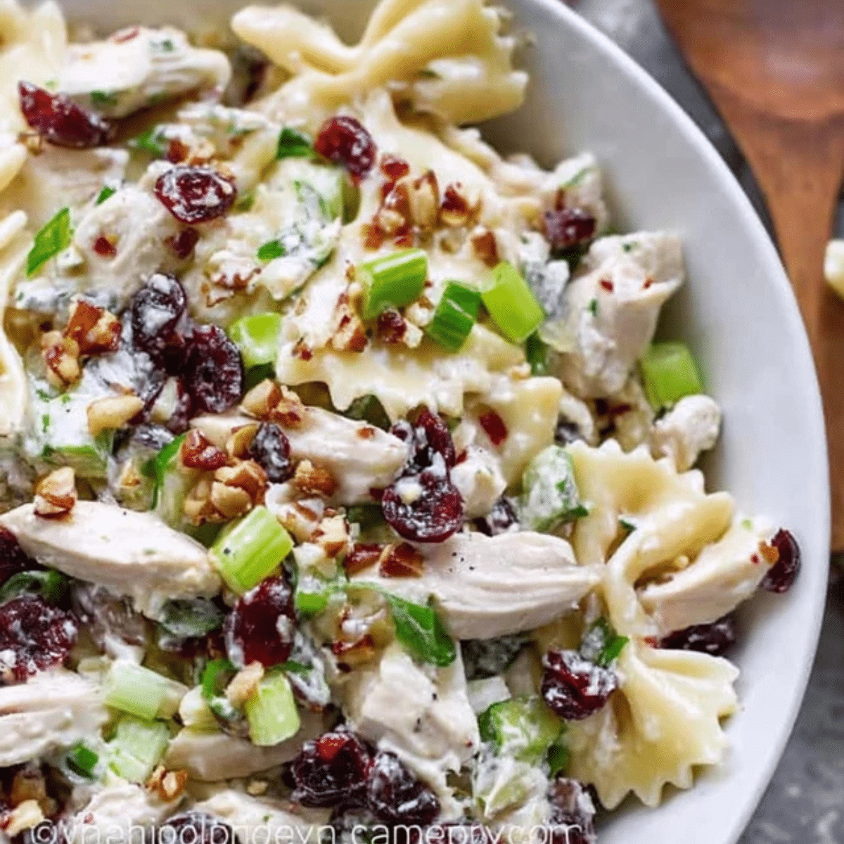 Turkey Cranberry Pasta Salad