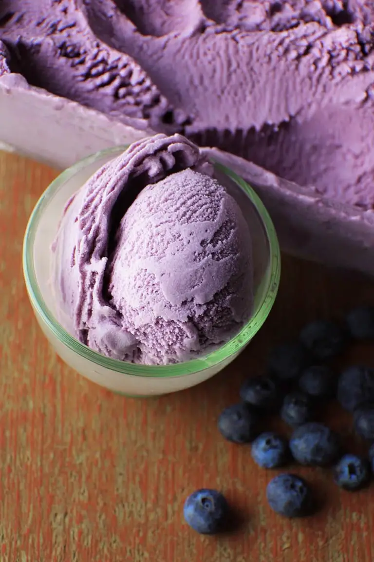 Close-up of creamy homemade blueberry ice cream in a bowl topped with fresh blueberries and mint leaves.